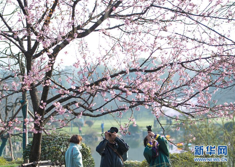 天龙八部3辅助工具合集合集下载