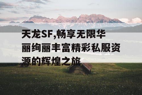 天龙SF,畅享无限华丽绚丽丰富精彩私服资源的辉煌之旅